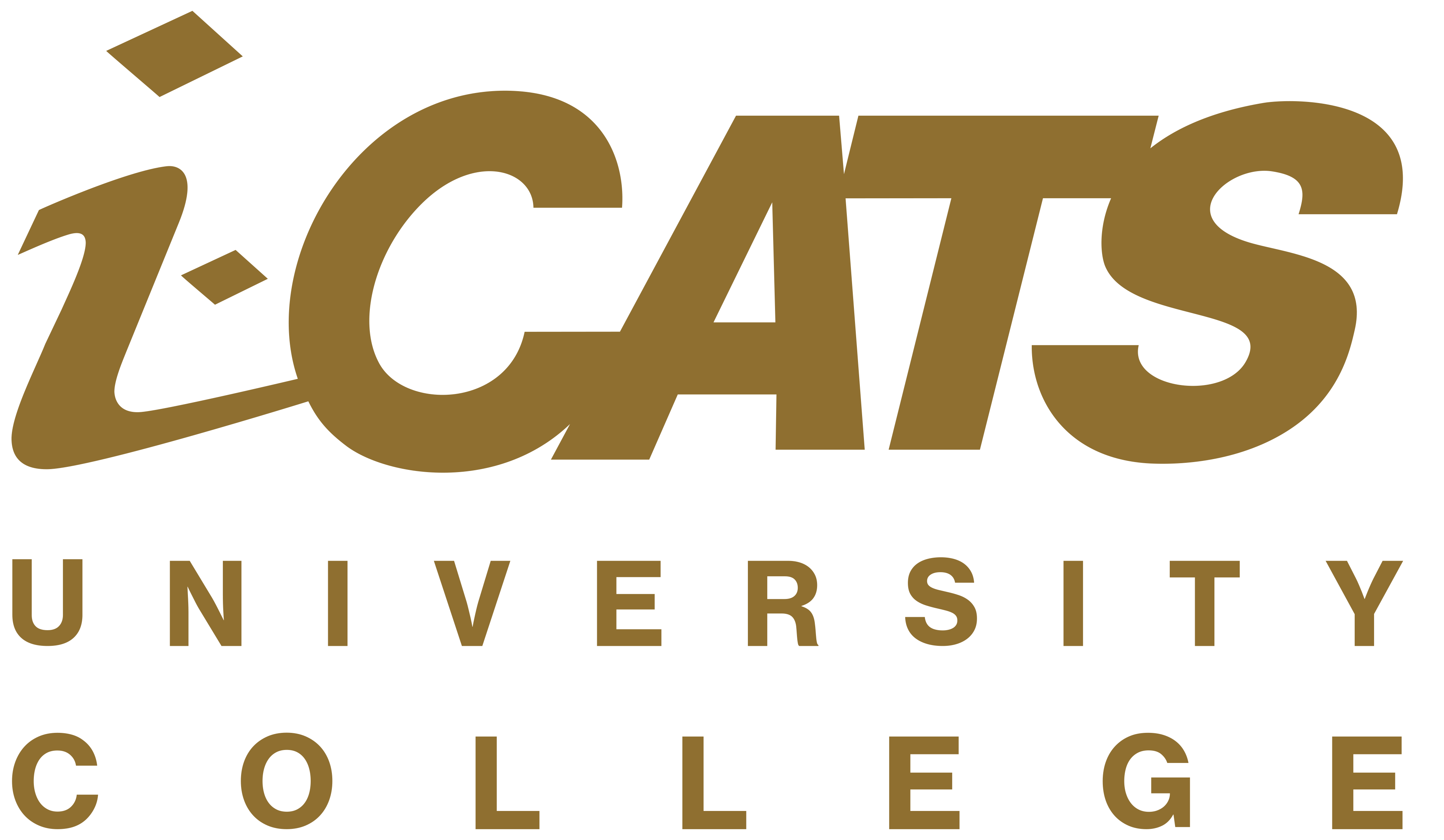 ICATS LOGO WITH WHITE OUTLINE